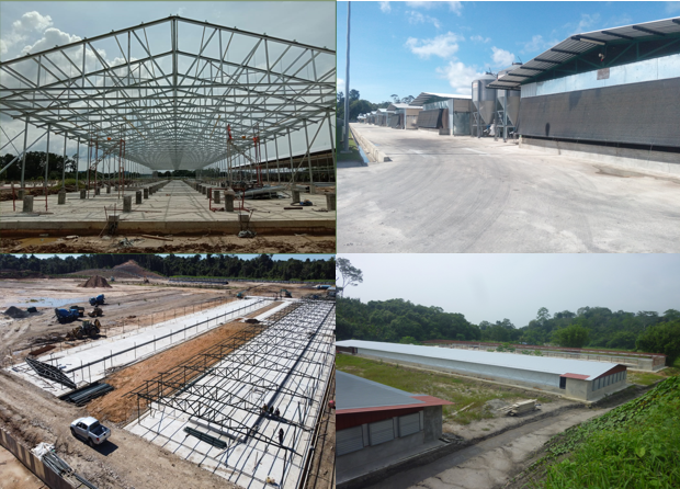 Gambar-Gambar Ladang Ternakan Ayam Pedaging 2020.PNG
